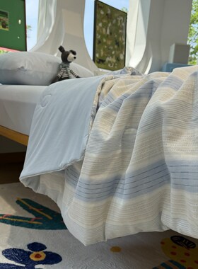 A版双层纱dB版冰皮清新条纹蓝色冰纱被夏凉被四件套双人被芯空调