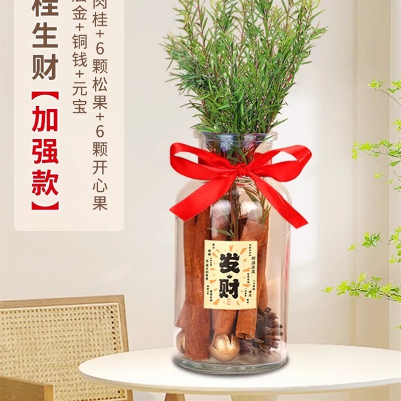 肉桂生财摆台摆件客厅招财进宝办公室八方来财客厅U千层金木质相