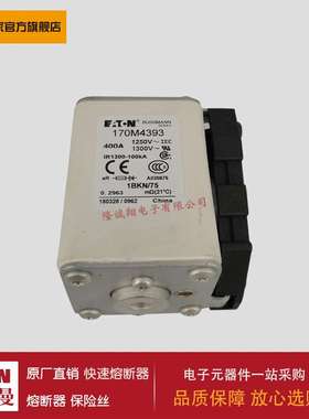 熔断器170M4312 170M4313 170M4314 170M4315 170M4316 170M4317