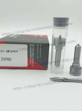 兴马喷油嘴L135PBD 喷油嘴 适用德尔福喷油器库存充足