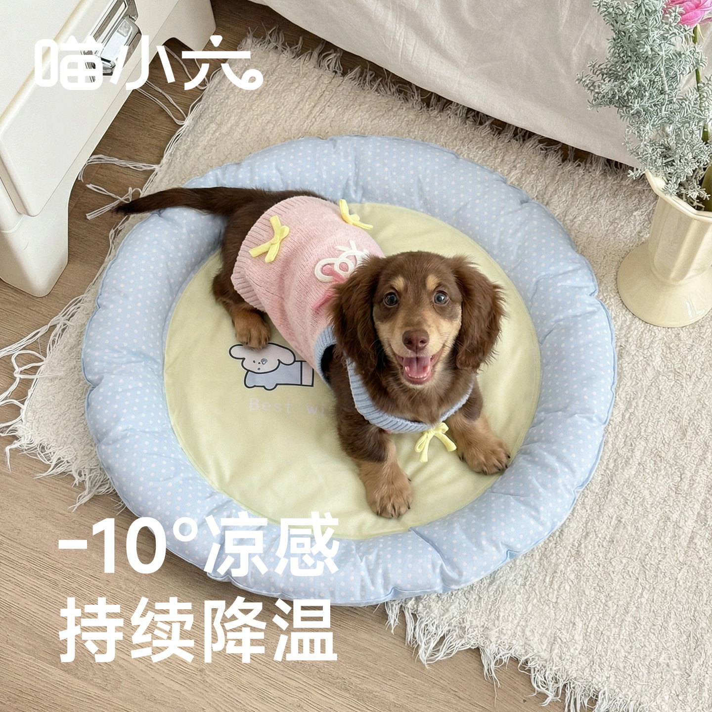 宠物冰垫狗狗睡垫夏季凉爽卡通猫窝降温凝胶坐垫狗垫宠物用品