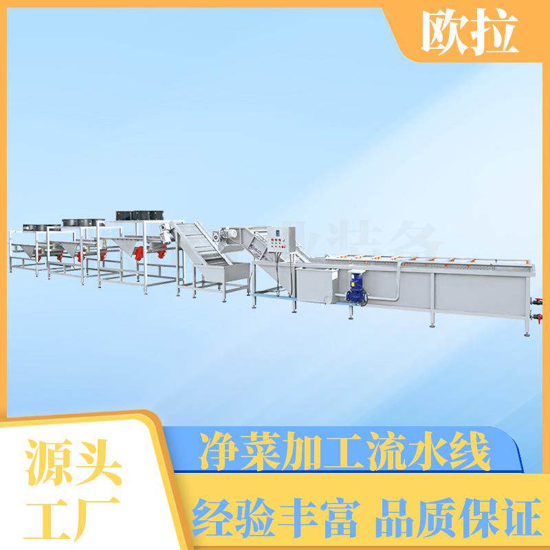 叶菜类不锈钢气泡清洗机 生姜清洗风干流水线 山楂罐头加工设备