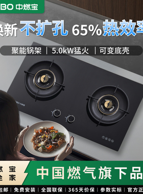 中燃宝燃气灶家用双灶Q5502聚能猛火灶嵌入式天然气灶台煤气炉具