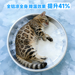 猫咪夏季铝盆猫窝四季通用网红铝制小猫凉窝散热睡觉夏天降温神器