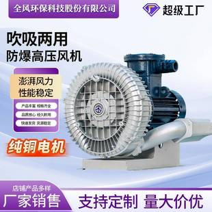 防爆高压鼓风机防爆等级DIIBT4/DIICT4工业高压漩涡气泵现货