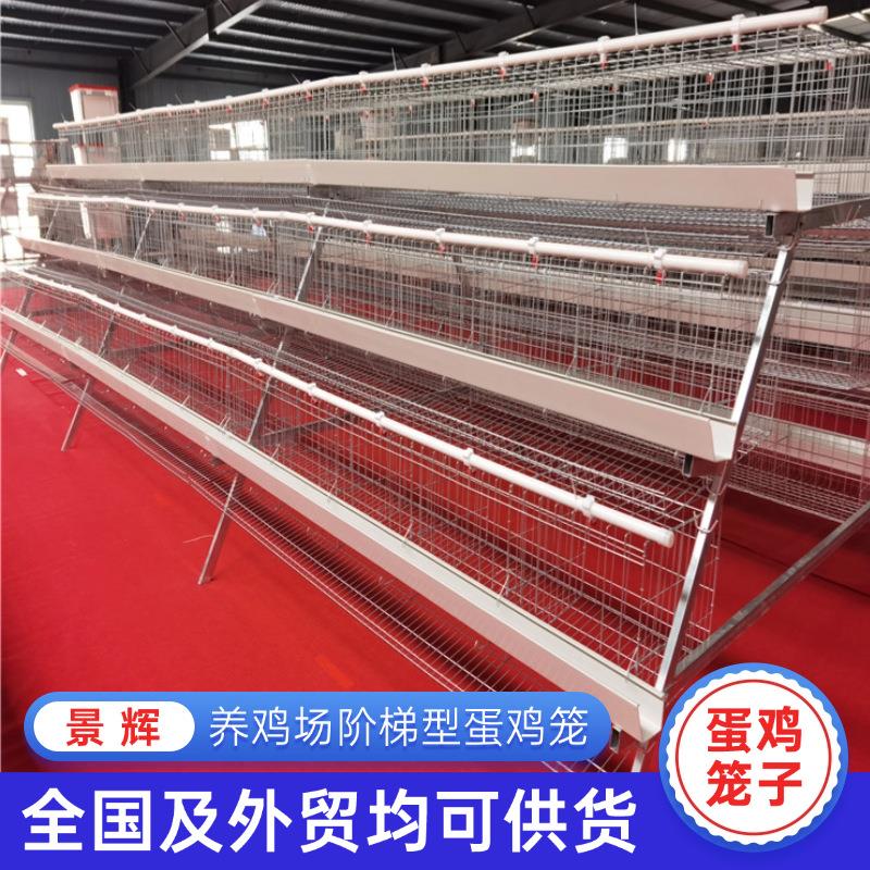 外贸阶梯蛋鸡笼厂家冷镀锌三层五门阶梯蛋鸡笼家用养殖设备定制