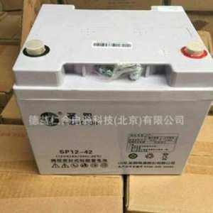 圣阳铅酸蓄电池SP12-42/12V42AH UPS蓄电池免维护电源