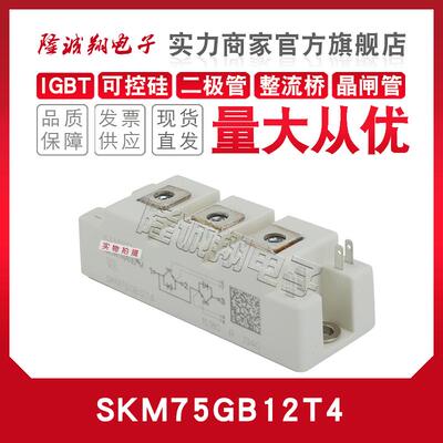 IGBT模块SKM75 40GDL SKM50 75 100 150GB12T4/123DL/12VG/12T4G