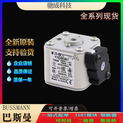 巴斯曼170M4569 170M4608 170M4609 销售供应零售 原装熔断器