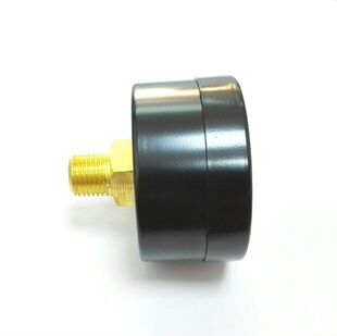 cm2 牙ZG1 gauge pressure 10kgf 1mpa 50z 轴向压力表 50mm
