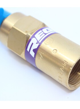 REGO美国力高PRV9432T,9434TP安全阀275C/415PSIG/255/145/150psi