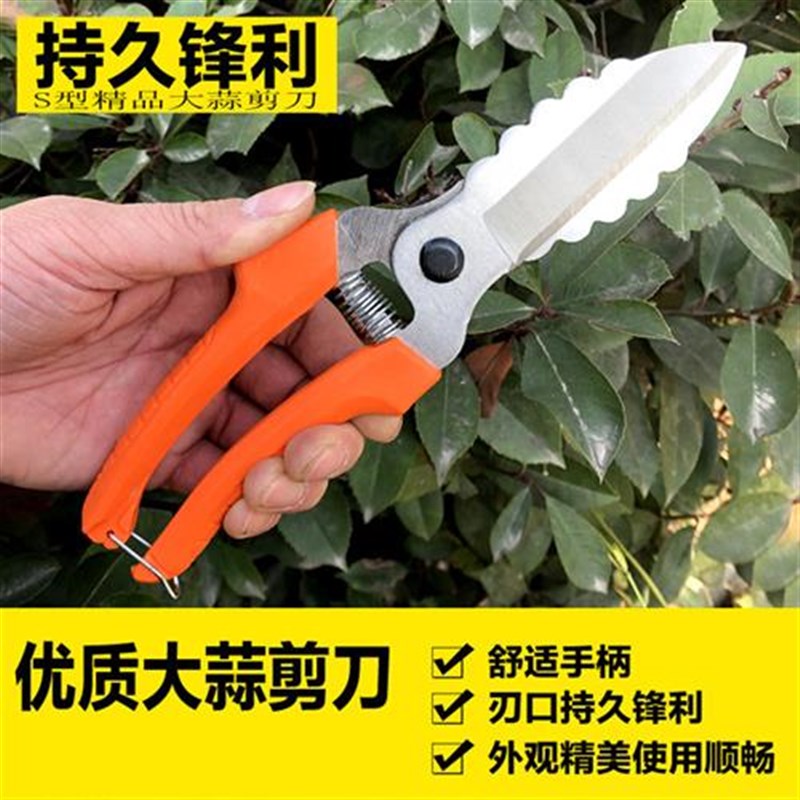 【厂家直销】大蒜专用剪子剪大蒜剪刀农用剪园艺剪刀剪大蒜的剪刀