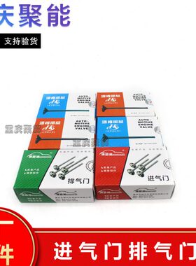 进进原厂门2G1排气C门门气气金门排气门杯4G1C油封气