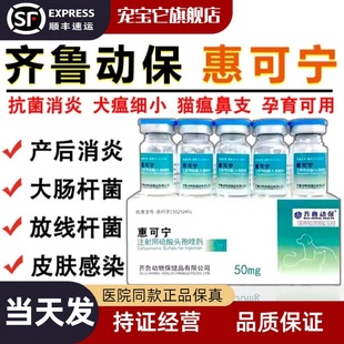 齐鲁惠可宁头孢喹肟注射液宠物猫用疱疹杯状病毒猫狗消炎针剂鼻支