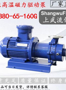 高磁力型16耐高温/温QBC--Q0磁力泵型-G165-C8G01280驱动50泵0