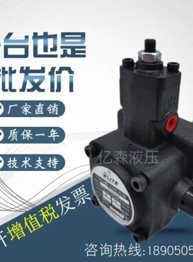 LITEA1特A2PP艾台湾P-F-F 利2030E15VA3油泵 40叶片泵-量-V-V-F变