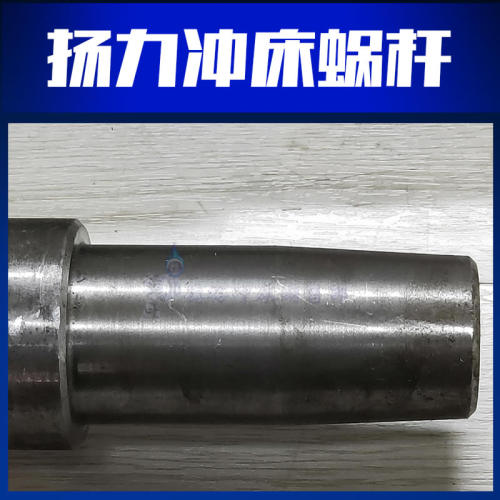 杨力气动冲床JH21系列蜗杆CP1蜗轮杆JF21通用非标定制热处理调质