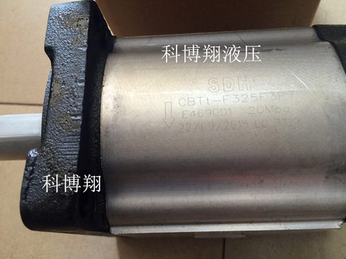 SDH 上海大众液压齿轮泵液压油泵CBTt-F325F3P7/F3P7L油泵齿轮泵