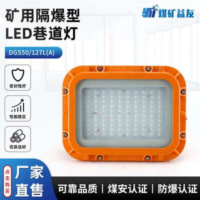 DGS50/127L(A)矿用隔爆型LED巷道灯 煤矿井下作业用防爆照明灯