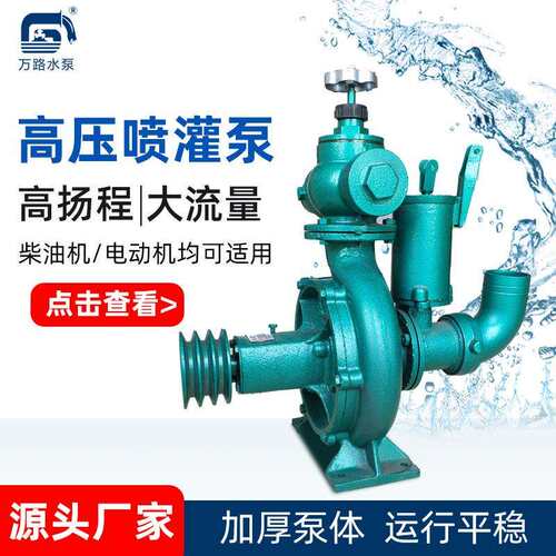 260型高压喷灌泵农用灌溉高扬程离心水泵