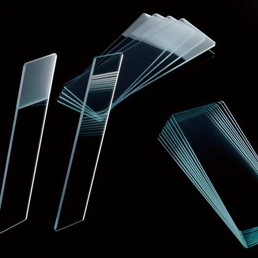 07-2101巴罗克1室细胞培养玻片玻璃培养玻片PS腔室隔断PP夹具