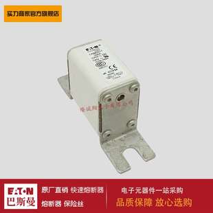 170M2029 熔断器170M2020 170M2028 170M2027 170M2030 170M2021