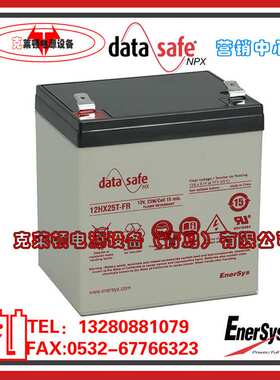 DataSafe艾诺斯蓄电池12HX25T-FR/12V23W高功率电源电池现货营销