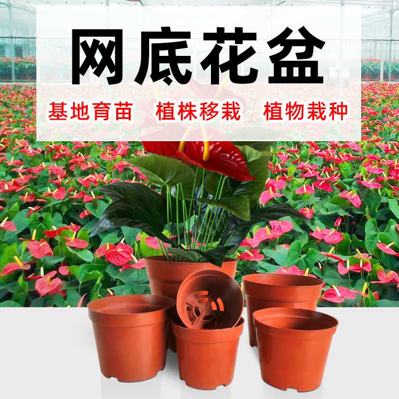 塑料花盆直边网底园艺花盆硬质塑料苗圃育苗盆圆形多肉绿植小圆盆
