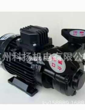 原厂SHUHUI热油泵 模温机循环泵TYPE TS-63 TS-71 TS-90 380V