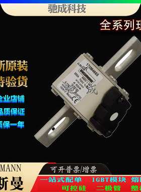巴斯曼170M4665 170M4666 170M4667 现货直销 零售 特种保险丝