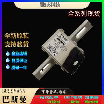 巴斯曼170M4665 170M4666 170M4667 现货直销 零售 特种保险丝