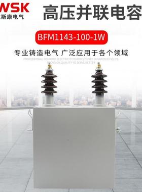 单相高压并联电容器BFM6.36.6√311√3-12√3-10.511.12-1W