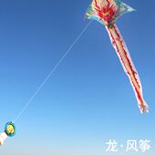 年专用风筝高档大人大风微飞龙2024年飞龙易风筝潍坊新款 龙形风筝