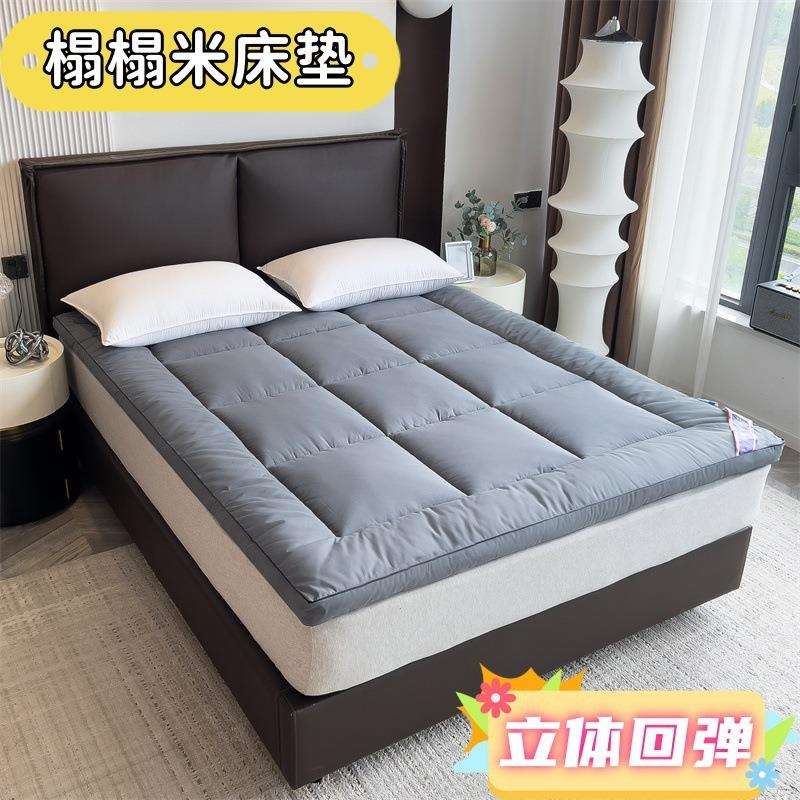 厂家2024新款爆款榻榻米慢回弹软床垫四季款立体软床垫