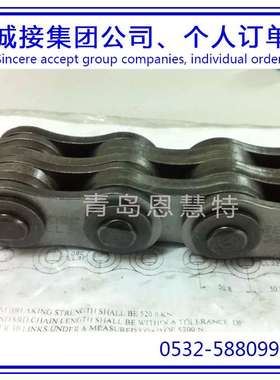 DBC东宝防锈滚子链条2040VRP 2050VRP 2060VRP滚子链条03