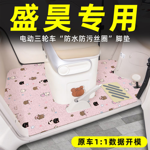适用【盛昊三轮车】丝圈脚垫