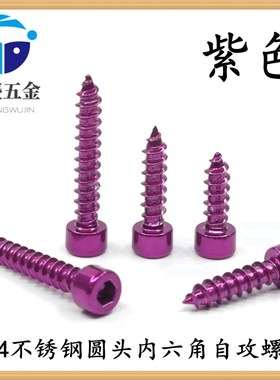 紫色304不锈钢圆柱头内六角自攻螺丝喇叭固定螺S丝杯头尖尾木螺钉