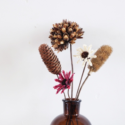 天然干花莲蓬松塔帝王花家居装饰  摆拍道具 插花