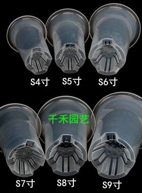 绿兰牌兰花盆无壁孔黑色高腰盆透明透气控根盆墨兰春兰建兰塑料盆
