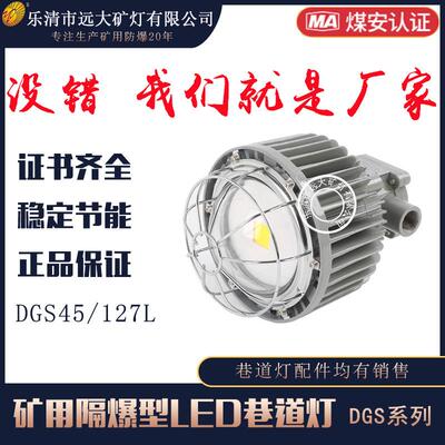DGS45/127L圆形矿用隔爆型LED巷道灯45W吊挂式LED照明灯防爆