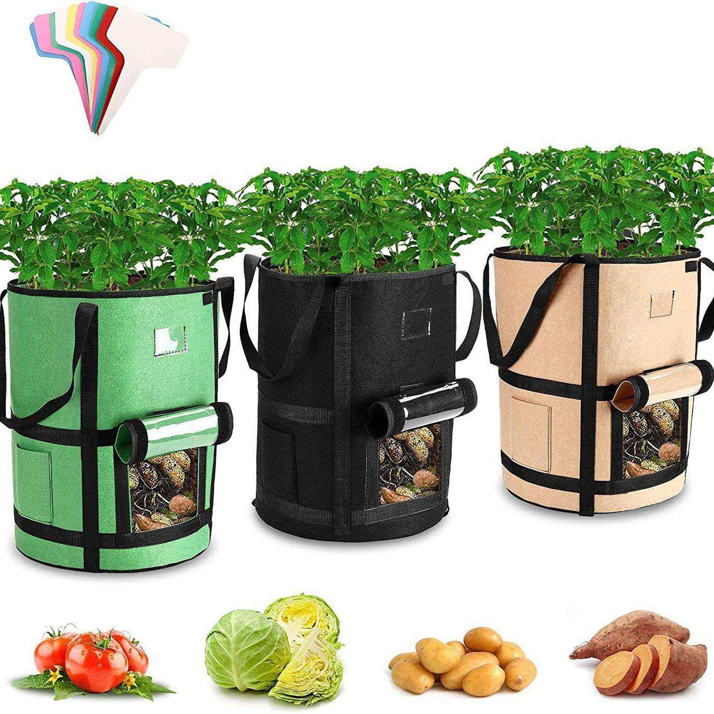 新款多织带土豆袋 番茄蔬菜生长无纺布毛毡种植袋 透明可视育苗袋,鲜花速递/花卉仿真/绿植园艺,割草机/草坪机,淘宝优惠券,粉丝福利购,淘宝优惠卷