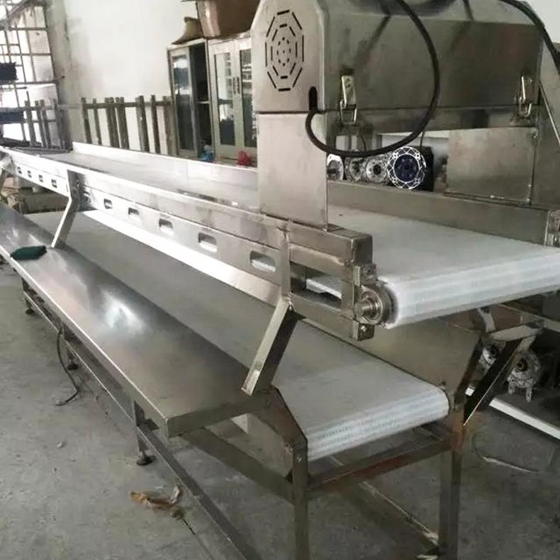厂家直销按需制作自动化滚轮滚筒式双层链板输送机隔板流水线