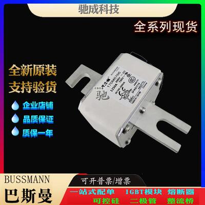巴斯曼170M6766 170M6767 170M6768 厂价供应厂价销售 高速熔断器