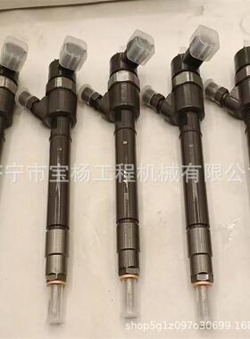0445110824共轨喷油器0445110825 0433172576喷油嘴总成