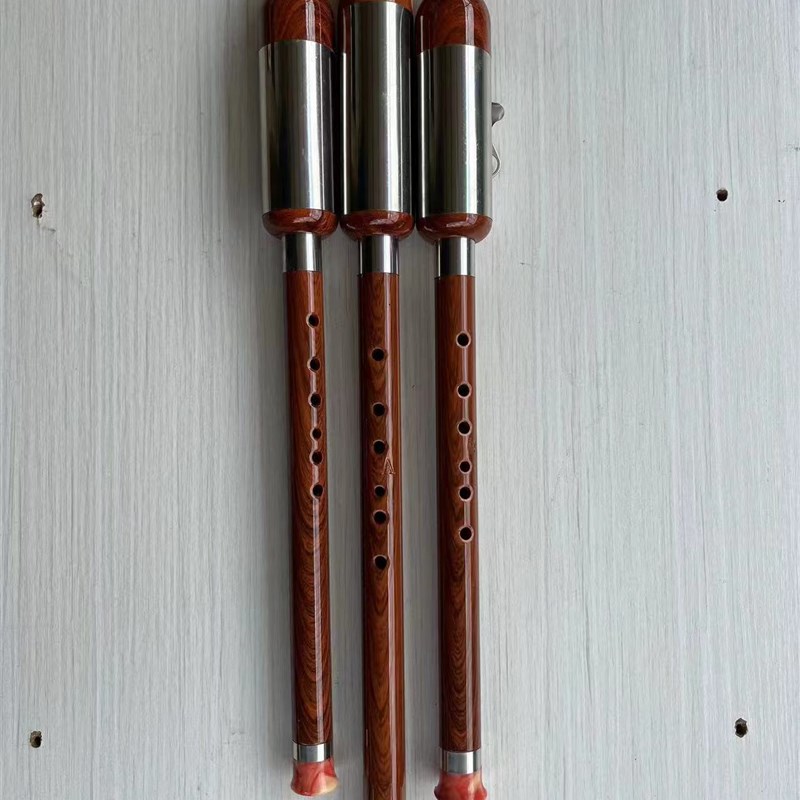 红木黑檀木竖吹巴乌乐器A调降B调C调G调F调小学生V初学专业演奏型