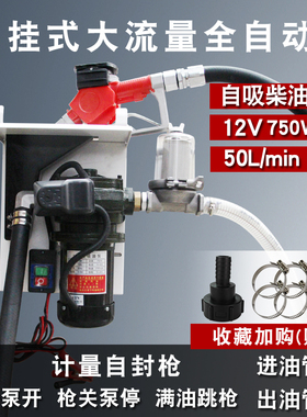 挂吨桶式电动抽油泵柴油220V12AV24V伏挖机车载大功率自吸自动加