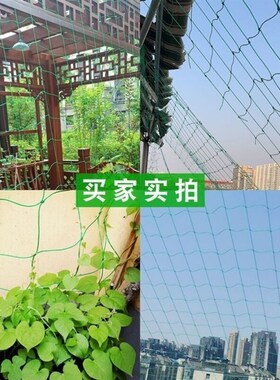 60股加粗植物爬藤网种植网丝瓜苦瓜吊瓜南瓜百香果攀爬植物搭架网