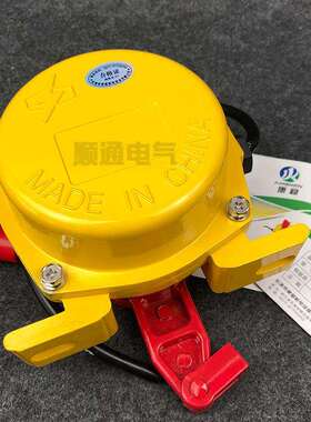 双向拉绳拉线开关DZM-LS输送机事故紧急急停开关DLX-J25