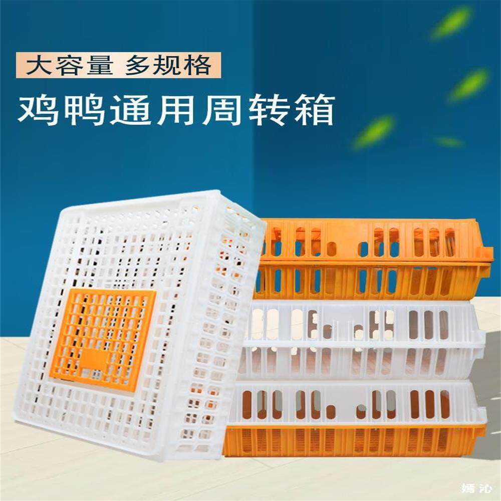 鸡笼运输笼塑料家禽周转箱筐成鸡鸭鹅鸽子笼子家用大号兔笼养殖笼
