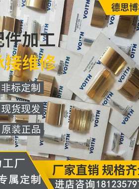 VOITH福伊特维修配件 IPVP6-100-101 IPV6-100 油泵月牙块